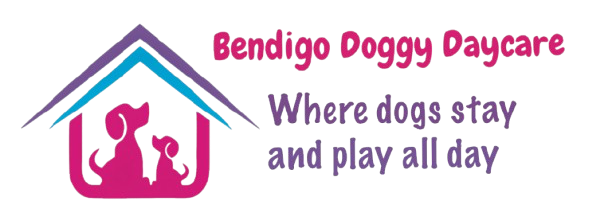 Bendigo Doggy Daycare